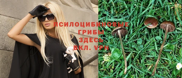 стаф Белоозёрский