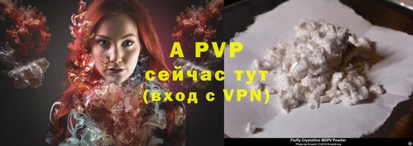 круглые Белокуриха