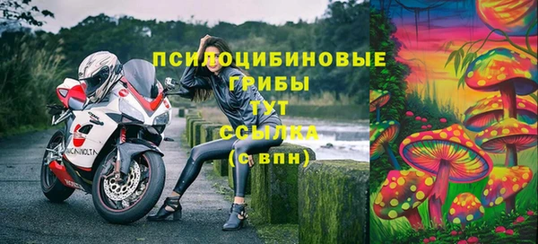 стаф Белоозёрский