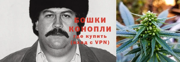 круглые Белокуриха