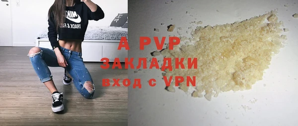 круглые Белокуриха