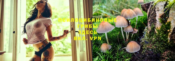 МДМА Беломорск