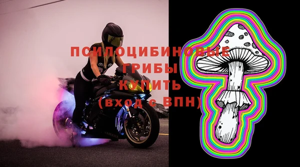 стаф Белоозёрский